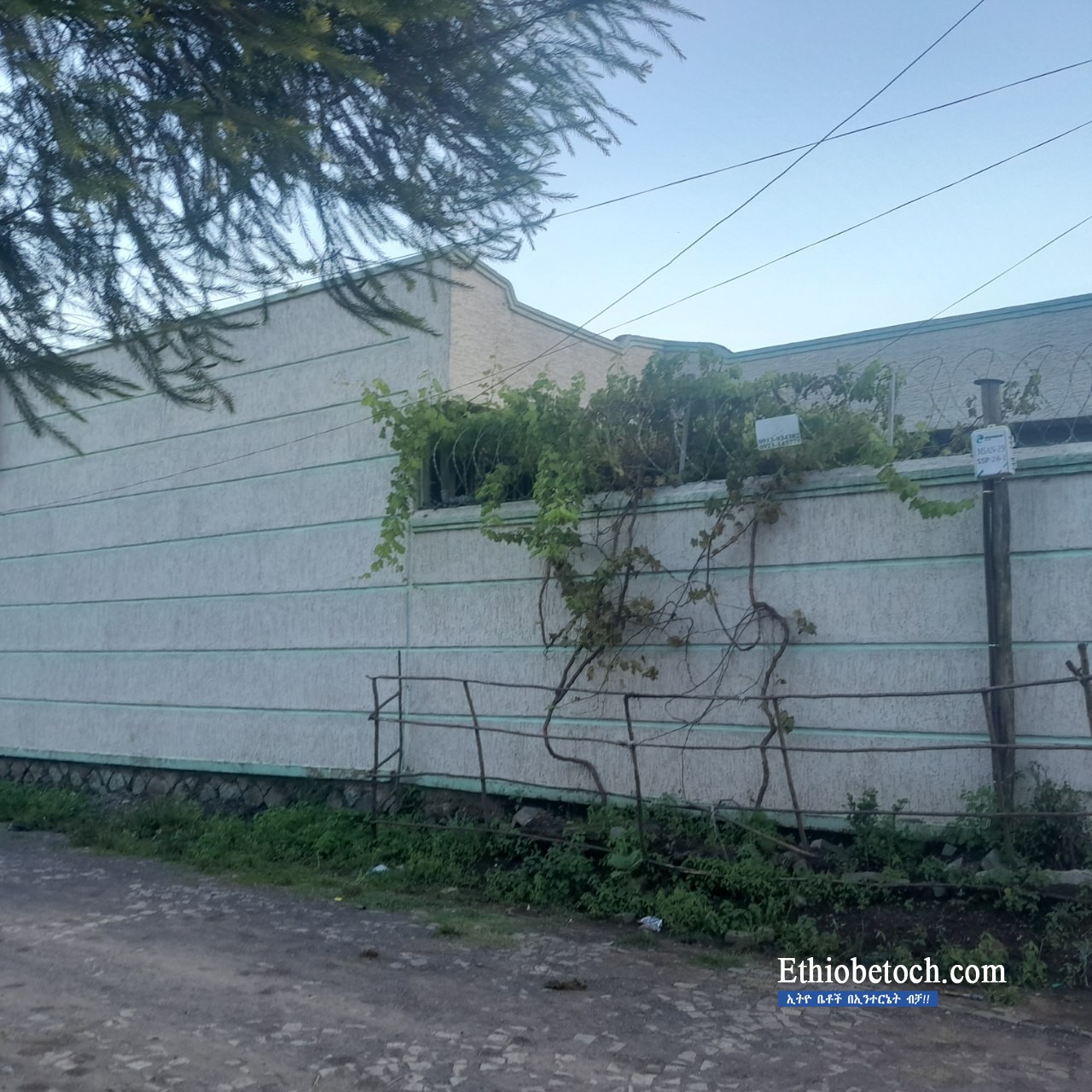 Ethiobetoch Com House For Sale Price Br 4 800 000   BzzFhnm5ivRCNOy2xXBN46BcDxZvBqNSvYuNloxo 